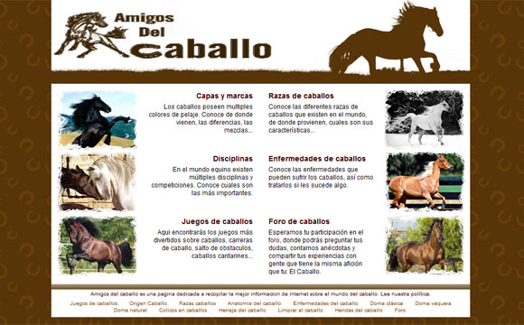 diseño web caballos