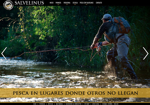 Diseño web Zaragoza